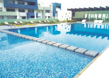 mosaique piscine algérie