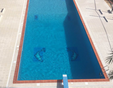 piscine algérie